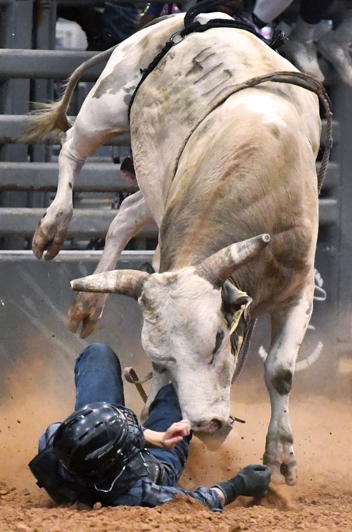 Josh Saculla Memorial Bull Ride